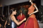 Lisa Haydon at Tarun Tahiliani Couture Exposition 2013 in Mumbai on 2nd Aug 2013 (73).JPG
